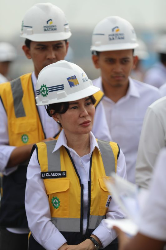*Wakil Kepala BP Batam Tinjau Persiapan Pengoperasian 4 STS Crane dari China*